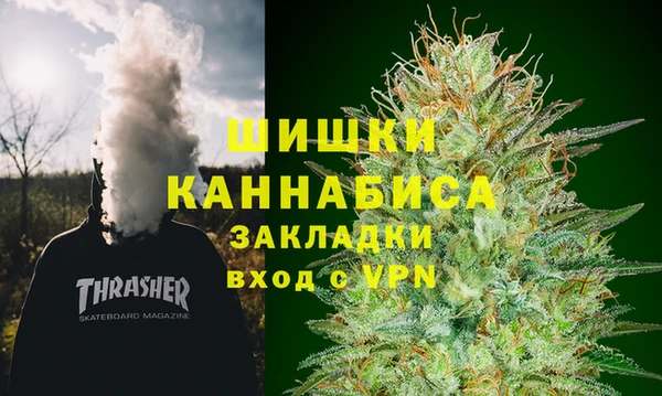 МДПВ Бородино