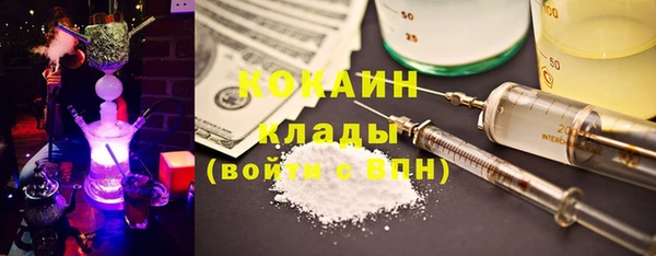 МДПВ Бородино