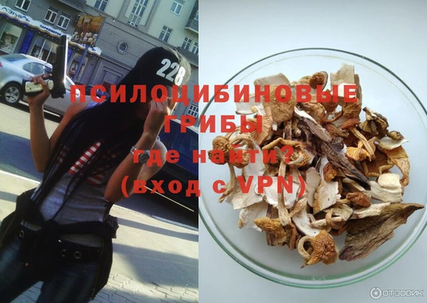 МДПВ Бородино