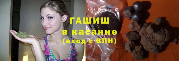 МДПВ Бородино