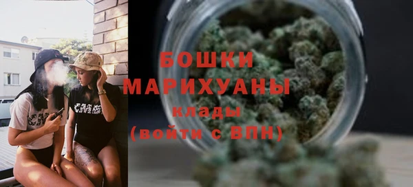 PSILOCYBIN Бугульма