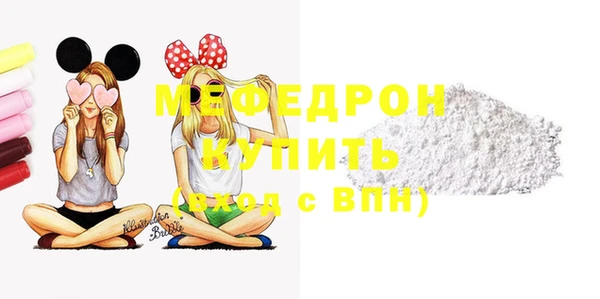 МДПВ Бородино