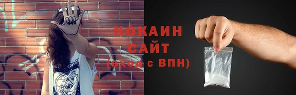 МДПВ Бородино
