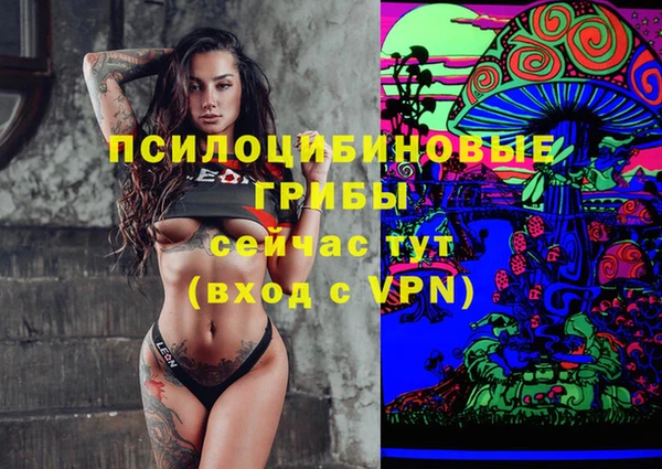 PSILOCYBIN Бугульма