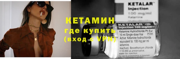 МДПВ Бородино