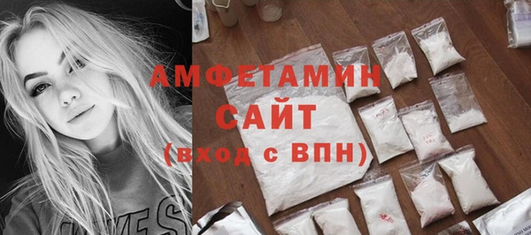 МДПВ Бородино