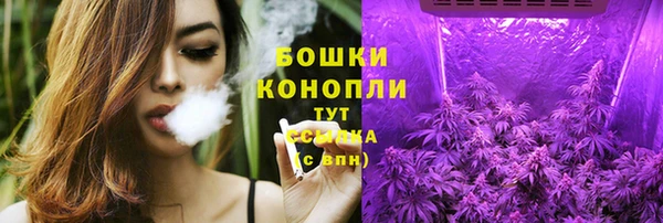 PSILOCYBIN Бугульма