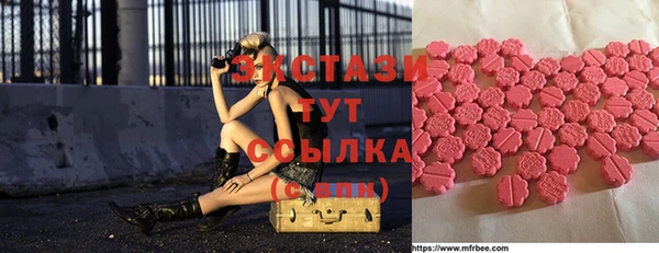 МДПВ Бородино