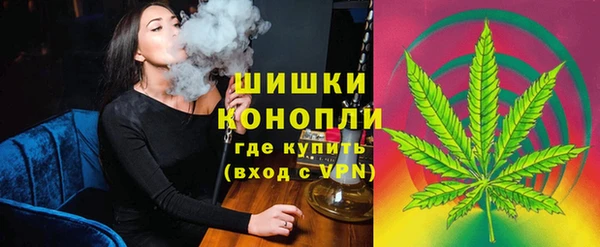 PSILOCYBIN Бугульма