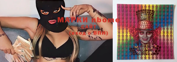 МДПВ Бородино