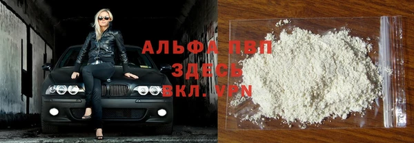 PSILOCYBIN Бугульма