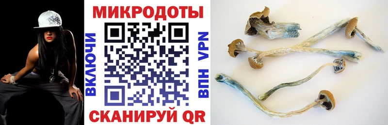 Псилоцибиновые грибы Psilocybine cubensis  где можно купить   Новотроицк 
