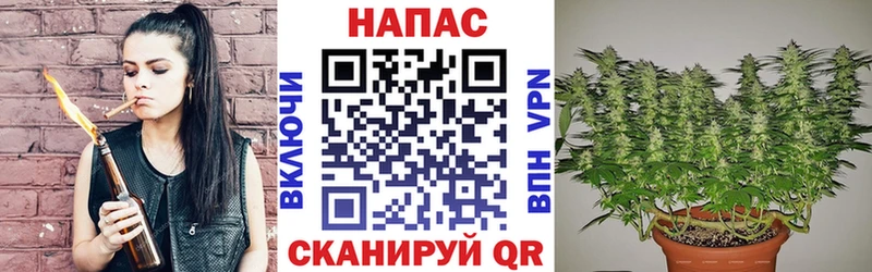 что такое   Новотроицк  Бошки Шишки конопля 